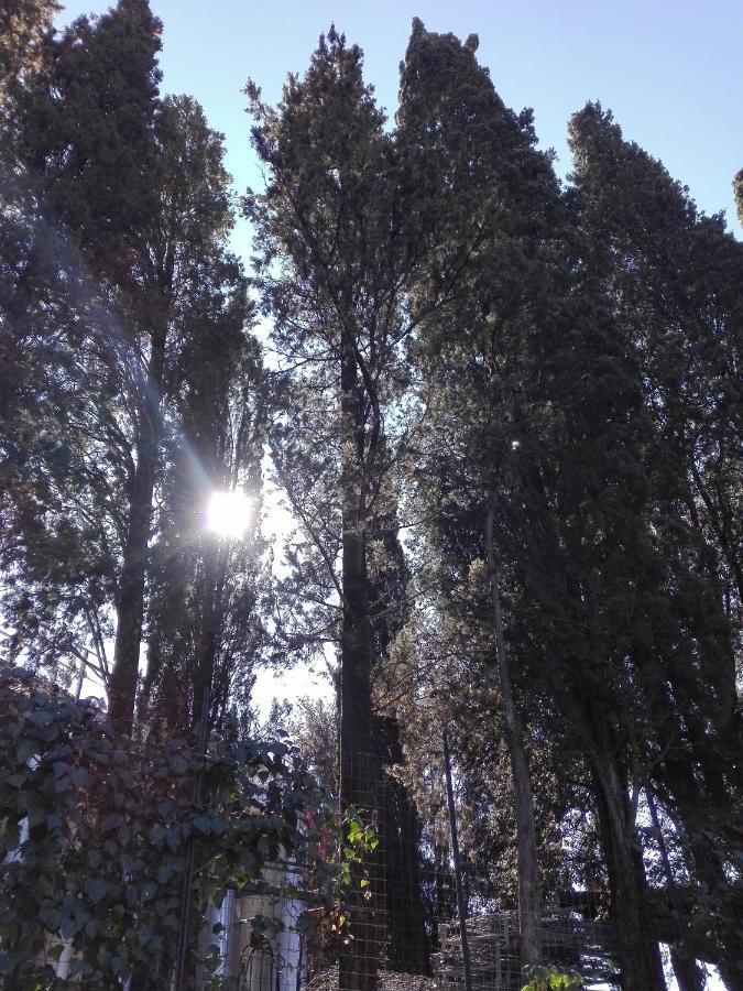 Country House Martina كاستيلْنْوافو بيراردين المظهر الخارجي الصورة